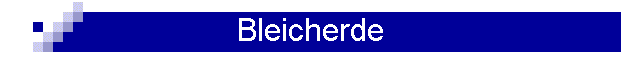 Bleicherde