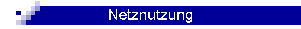 Netznutzung