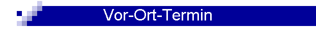 Vor-Ort-Termin