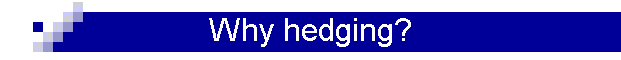 Why hedging?